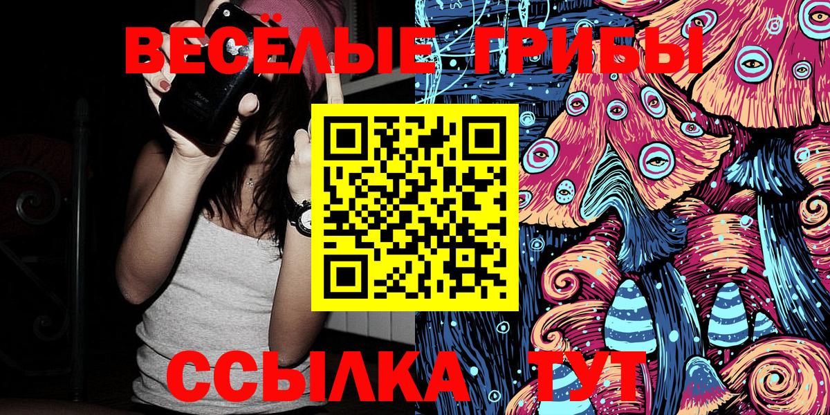 Скопин  Псилоцибиновые грибы Psilocybine cubensis  Вход с VPN 