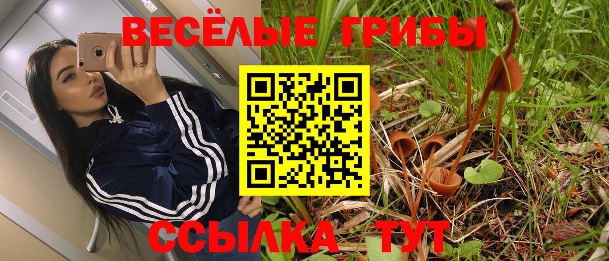 Псилоцибиновые грибы Psilocybine cubensis Скопин